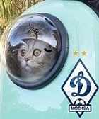 Аватар пользователя